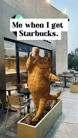 I bet Starbucks