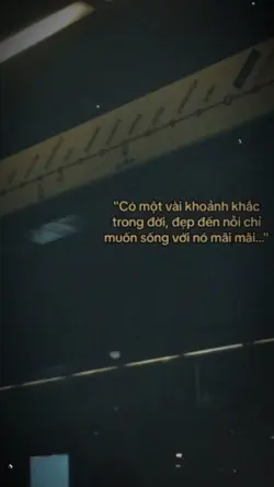 Dòng Caption 