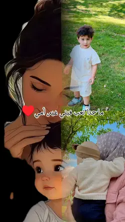 أمي ثم أمي