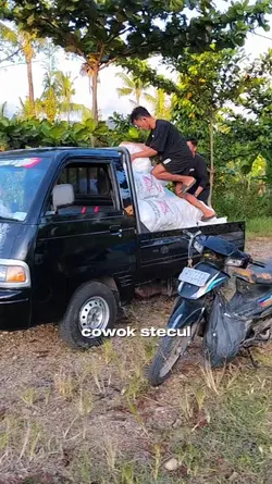 cowok stecul