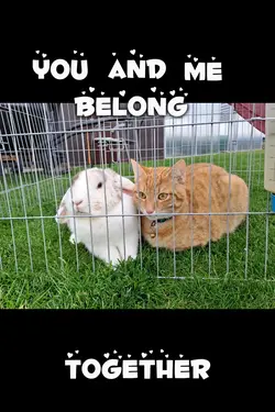 You and Me <3