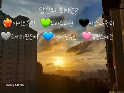 당신의 최애는