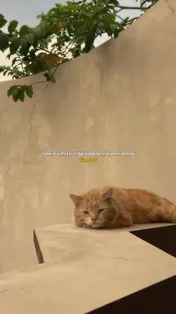 Ümitsiz olma…