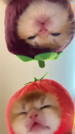 Cuteeeeeee