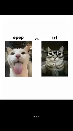epep vs irl