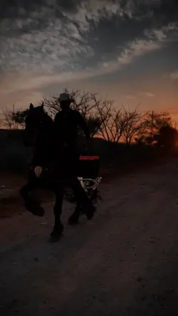 El muletas