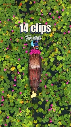 14 video or photo 