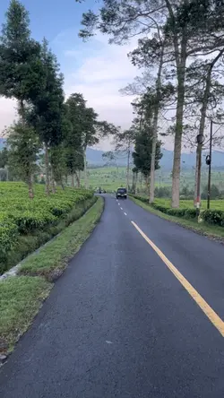 morning ride