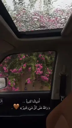 ياارب 