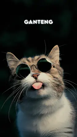 lirik estetik