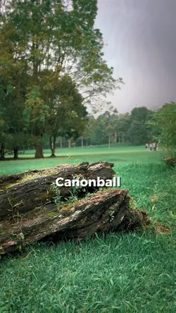 Cannonball