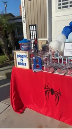 Spider-Man Party