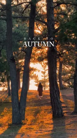 Autumn vibes 
