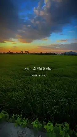 Apnon ki mehfil main
