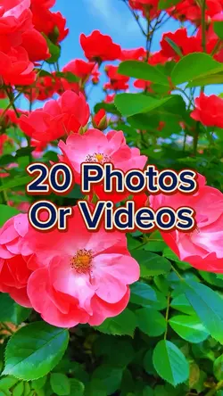 20 Photo Slides