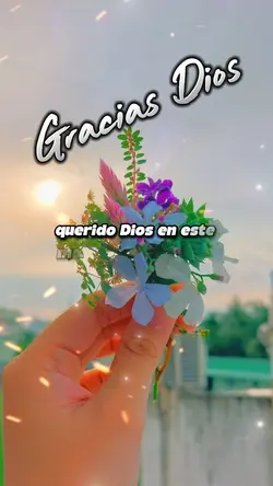 Gracias Dios 