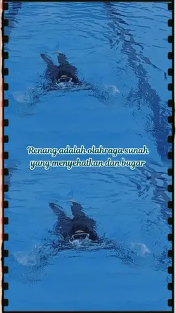 renang 