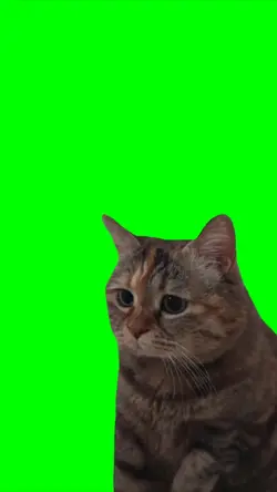 kucing sedih
