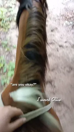 I just want Ollie