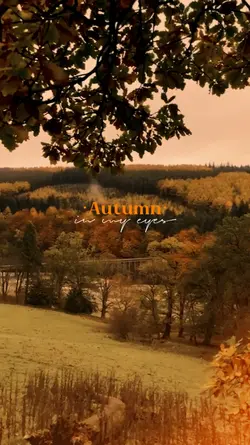 Autumn Vibes