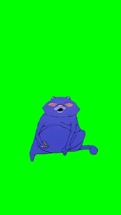 Cat Coughing 