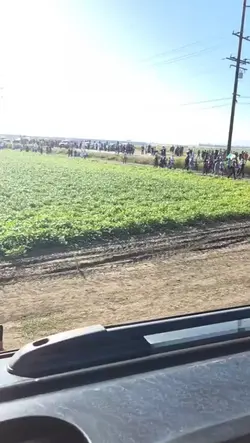 Tomatera Oxnard CA 