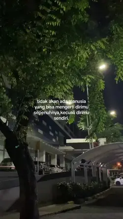 story wa?