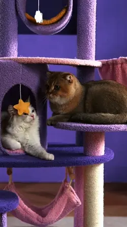 Pet Supplies