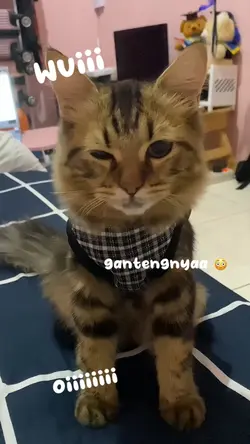 Gantengnya oii😼