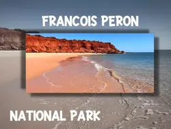 Francois Perot NP