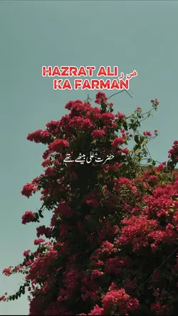 Hazrat Ali R.A