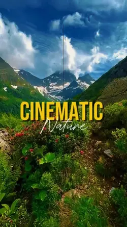 CINEMATIC