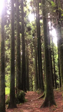 slow motion video 