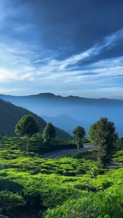 nature MOMENTS