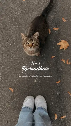 Ramadhan Story 