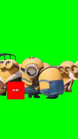 minion meme