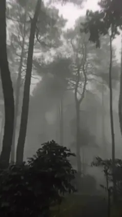 horor kabut