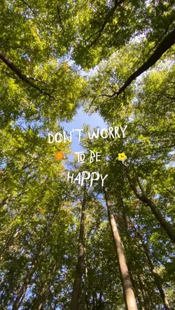 don't worry