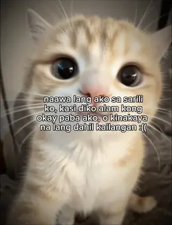 Naawa nalang ako