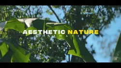 Nature Cinematic Aes