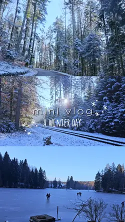 mini winter vlog