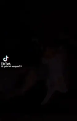 ailesorunu