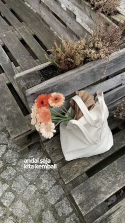 andai saja