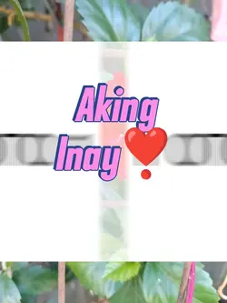Aking Inay