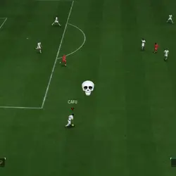 Skull filter change
