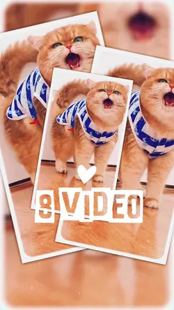 8 Video 