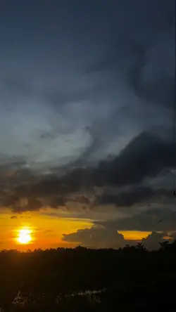 lagu aceh viral 