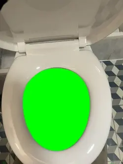 Toilet seat