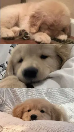 so cute