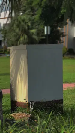 Lampu kaka 
